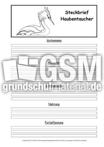 Steckbriefvorlage-Haubentaucher.pdf